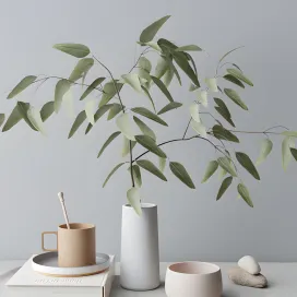 Decorative with eucalyptus branch
